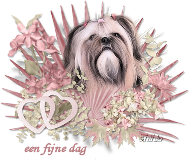 Fijne dag