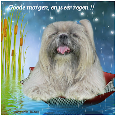 regen