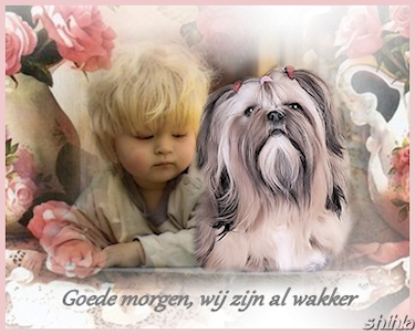 wakker